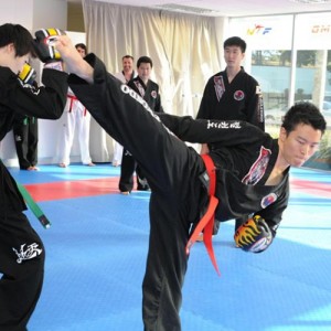 Jeolkwondo_96-500x500