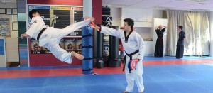 Taekwondo_07-300x131