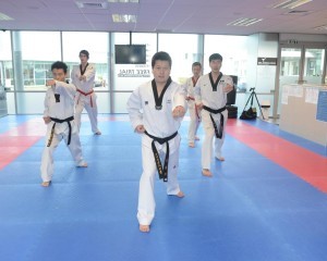 Taekwondo_classes_adult_auckland_nz